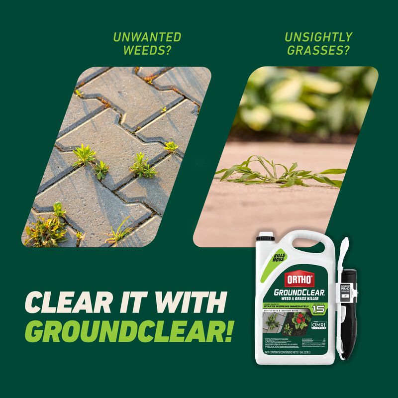 Ortho&reg; GroundClear&reg; Weed & Grass Killer with Comfort Wand&reg; image number null